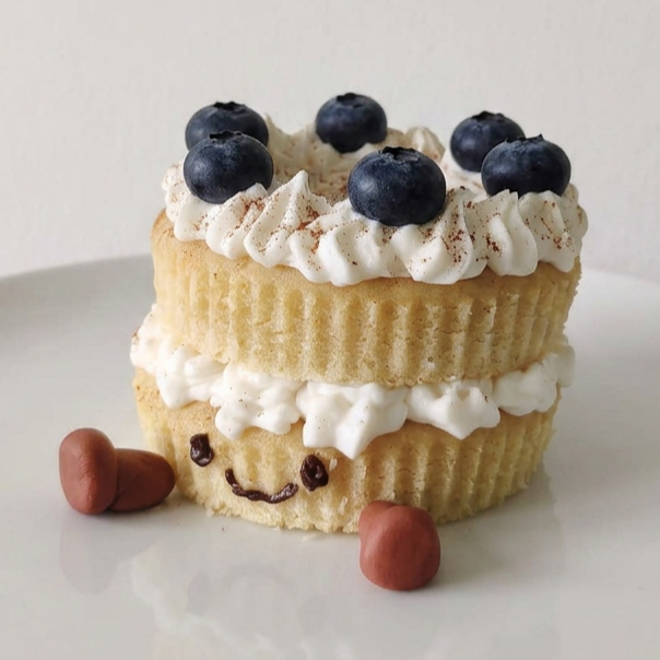 [28 August Thomson] Mini Cake (Bake Academy Trial Class)