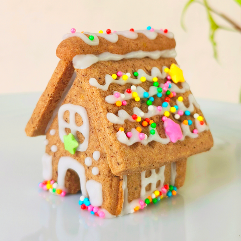 [26 & 27 December Downtown East] Mini Gingerbread House
