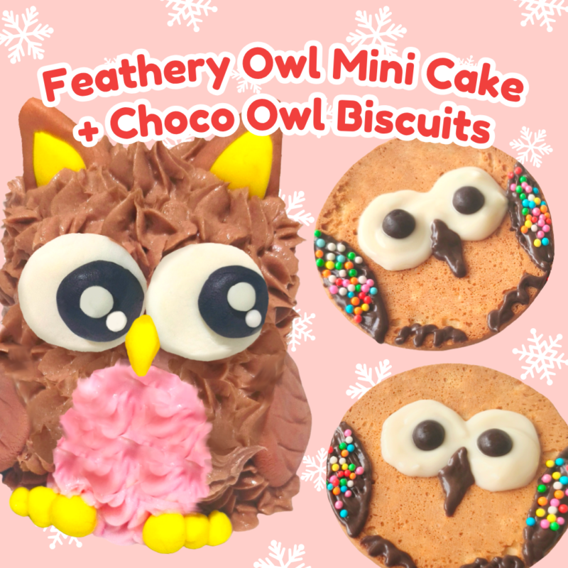 [25-27 November Alexandra] Feathery Owl Mini Cake + Choco Owl Biscuits